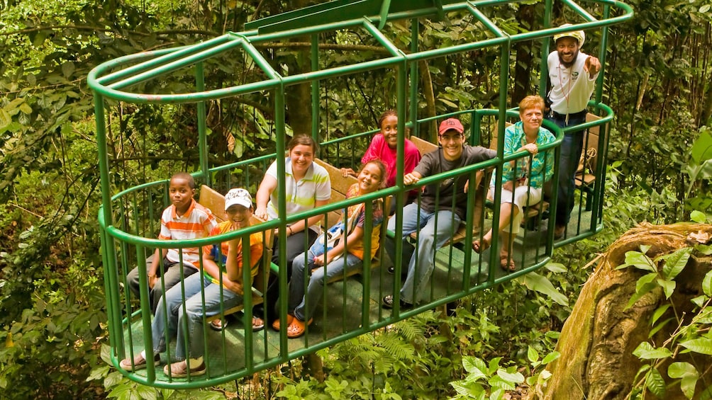 Show item 2 of 9. Enjoying the aerial tram in the rainforest at Saint Lucia