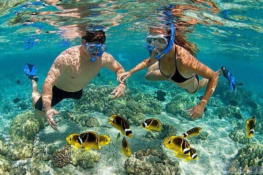 snorkeling to see corals
