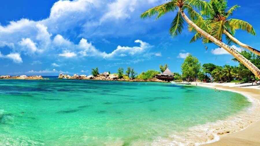 Cham Island Trip by Speed Boat including Snorkeling from Hoi An or Da Nang