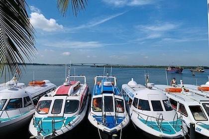 Cham Island Trip by Speed Boat including Snorkelling from Hoi An or Da Nang