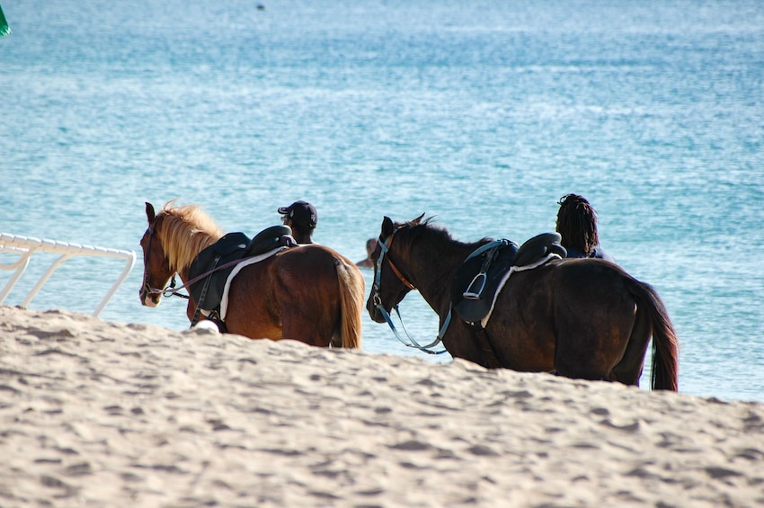 Beach & Trail Horseback Ride