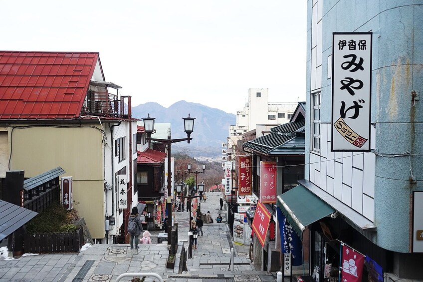 Show item 3 of 7. Gunma: Hot Spring, Lake View & Konnyaku Park Private Tour