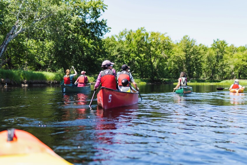 2 Hour Mersey River Quickie Adventure