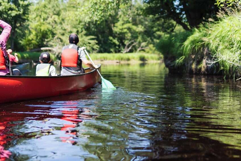 2 Hour Mersey River Quickie Adventure