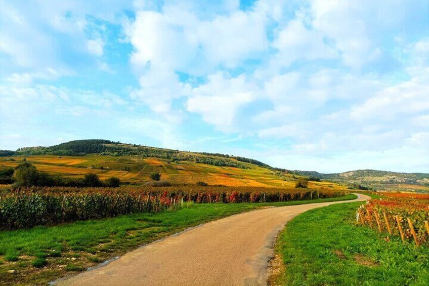 Private tour in Burgundy with your professional guide!