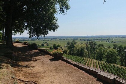 A day in Saint-Émilion and its Châteaux in a private tour (Van Luxe)