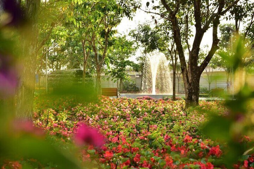 Flower Land Pattaya 