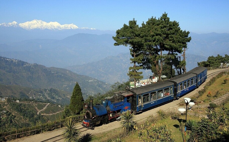 Darjeeling and Gangtok Tour
