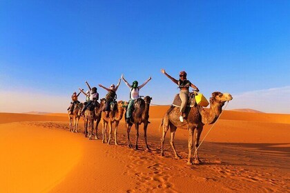 Marrakech a Fez: tour de 3 días a través del desierto de Merzouga y caminat...