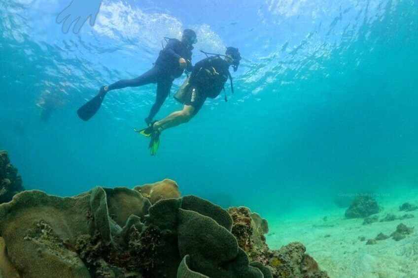 SCUBA DIVING OPTION For Beginners in Phu Quoc Island 