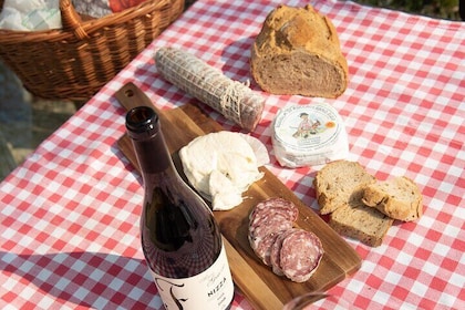Monferrato (Asti): Wine Tour with light lunch picnic in the vineyards