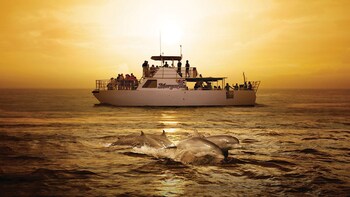 BIG Sunset Dinner Cruise