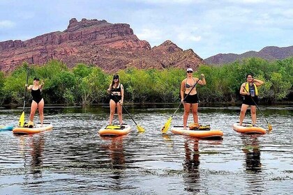 Inflatable Paddleboard Full-Day Rental - Transportation required