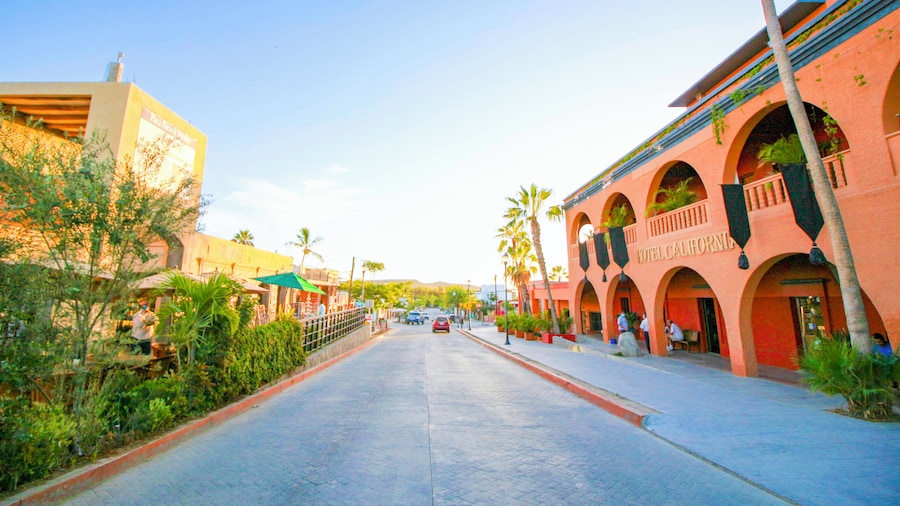 Todos Santos through the Pacific Ocean Coast Tour