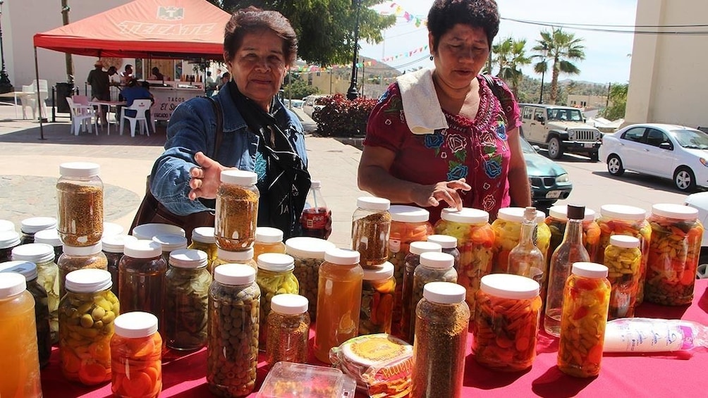 Todos Santos Tour