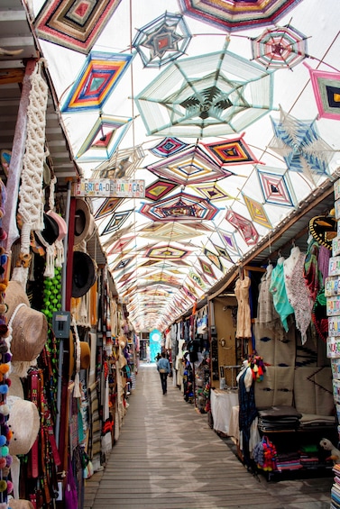 Todos Santos through the Pacific Ocean Coast Tour