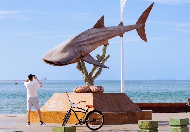 La Paz & Todos Santos Tour