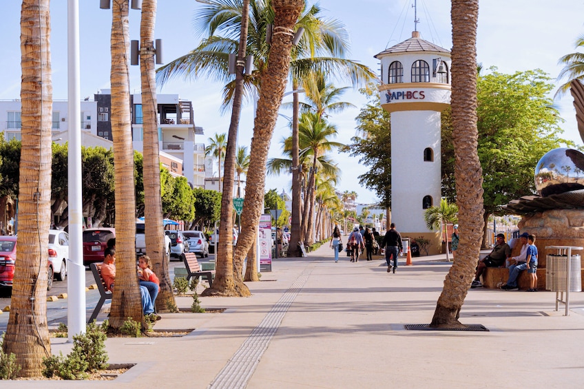 La Paz & Todos Santos Tour