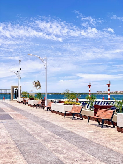 La Paz & Todos Santos Tour