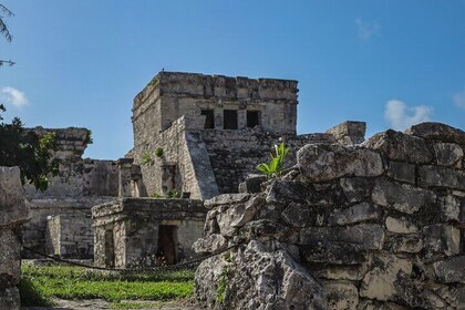Tour di Rovine di Tulum, Tartarughe ad Akumal e Cenote