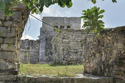 Visite des ruines de Tulum, des tortues à Akumal et du cénote