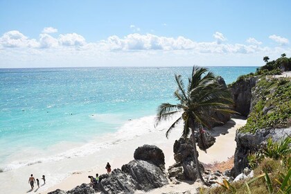 Excursión a las Ruinas de Tulum, Tortugas en Akumal y Cenote