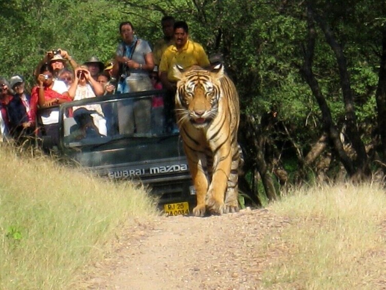 India Highlights with Ranthambore Tour