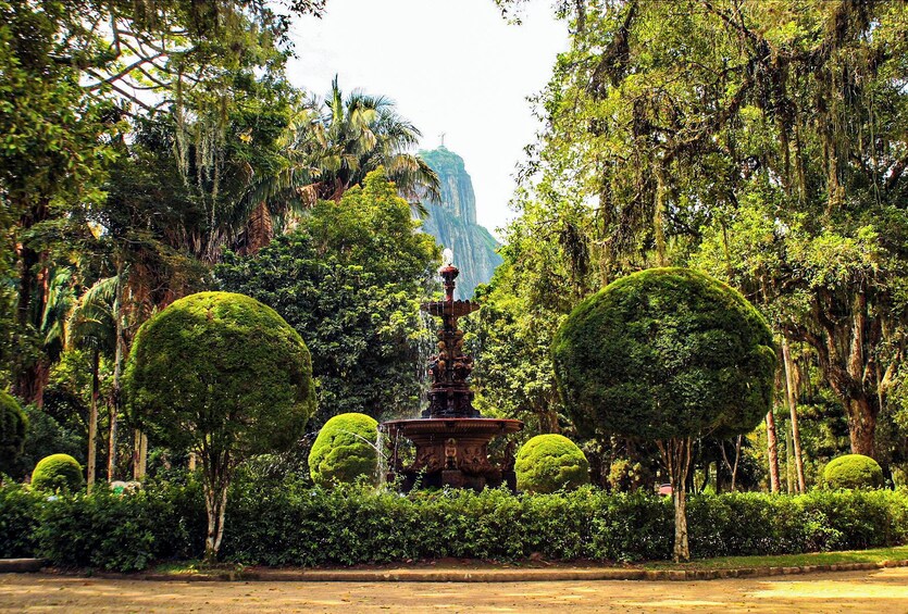 Jeep Tour to Tijuca Rainforest and Botanical Garden