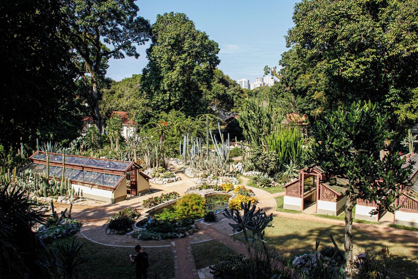 Jeep Tour to Tijuca Rainforest and Botanical Garden