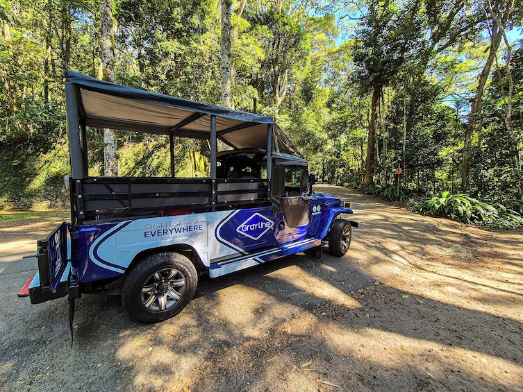 Jeep Tour to Tijuca Rainforest and Botanical Garden