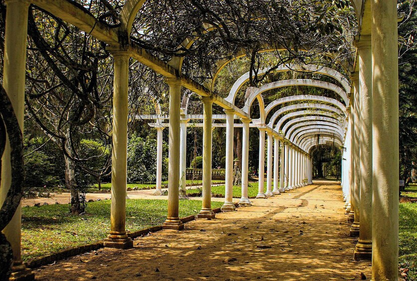 Jeep Tour to Tijuca Rainforest and Botanical Garden