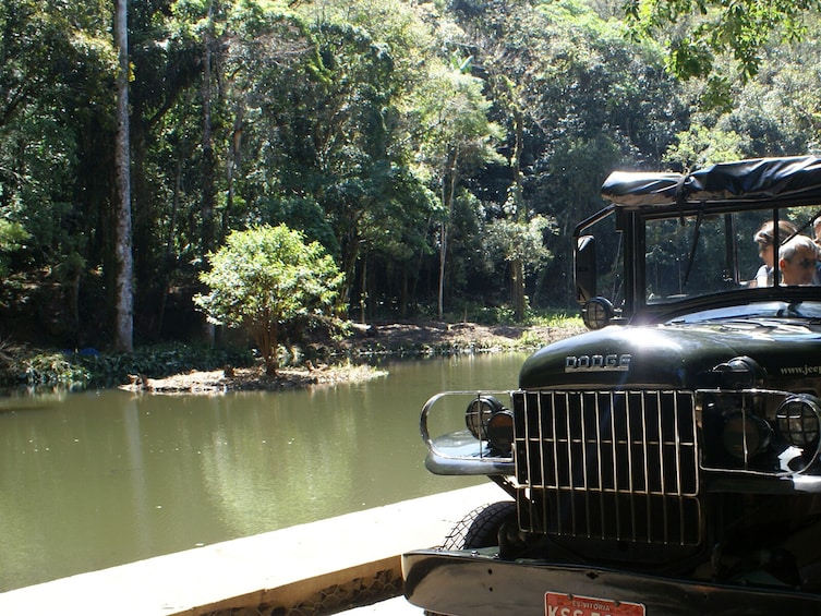 Jeep Tour to Tijuca Rainforest and Botanical Garden