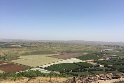Golan Heights Private Tour From Tel Aviv or Jerusalem
