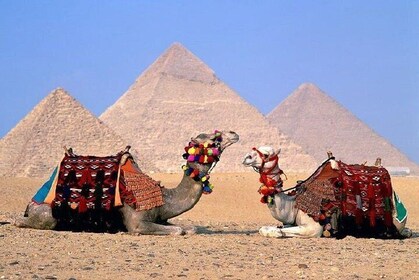 From Sharm El Sheikh to Cairo and return