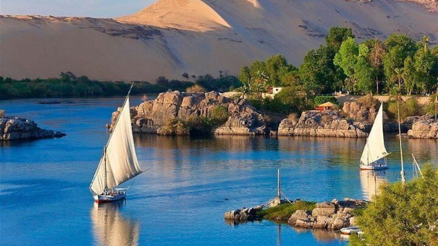 Private Half-Day Tour Nubian Village and Botanical Garden