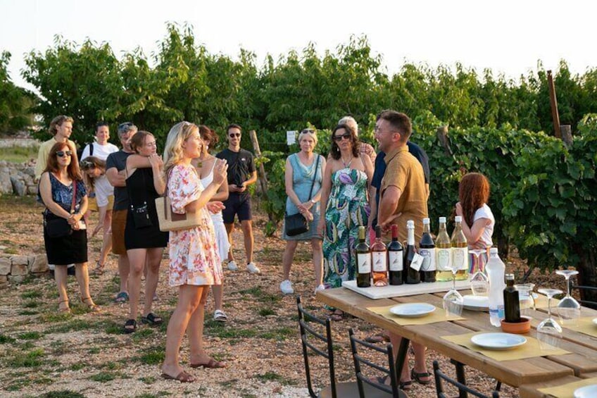 Wine Experience: vineyard, wines and food