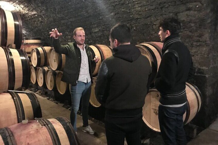 Private Wine Tasting Tour - Côte de Beaune & Côte de Nuits 3 wineries, 15+ wines