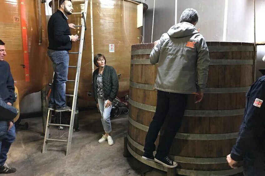 Pinot fermentation explained