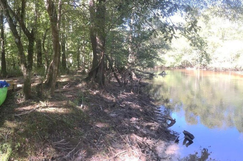 The platform campsite is set on Lynches Scenic River. It's on the SC Revolutionary Rivers National Recreation Trail.