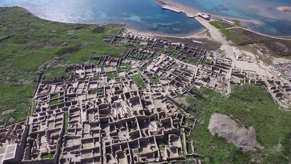 Delos Half-Day Tour