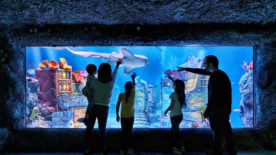 American Dream: SEA LIFE New Jersey Aquarium