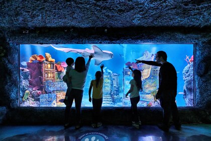 Amerikanischer Traum: SEA LIFE New Jersey Aquarium