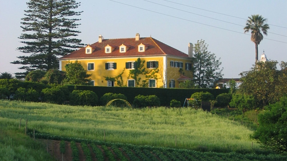 Show item 3 of 5. Historic Quinta de Santana home and vineyard in Portugal