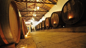 Private Day Tour to Estremadura Wine Region & Óbidos