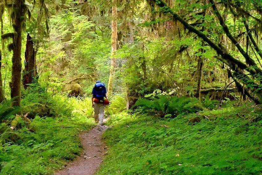 Olympic National Park High Country Adventure Youth Summer Camp