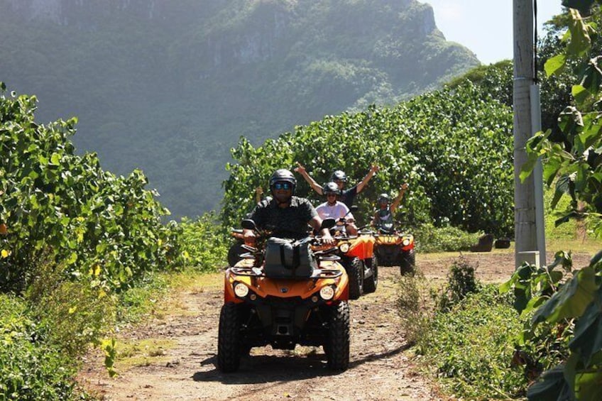 NEW !!! ATV TOURS with '' Manu '' a local guide from Bora Bora