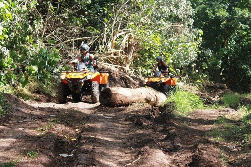 https://media-cdn.tripadvisor.com/media/attractions-splice-spp-720x480/0b/2f/69/ab.jpg