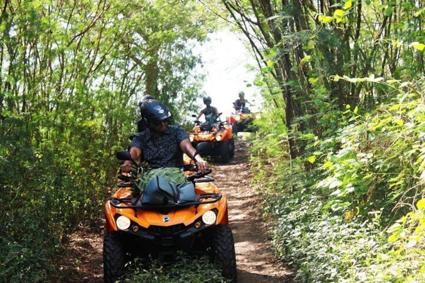 NEW !!! ATV TOURS with '' Manu '' a local guide from Bora Bora