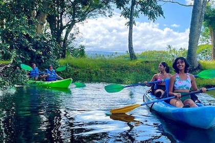 Historic Hilo Bay and Coconut Island Guided Kayak Adventure