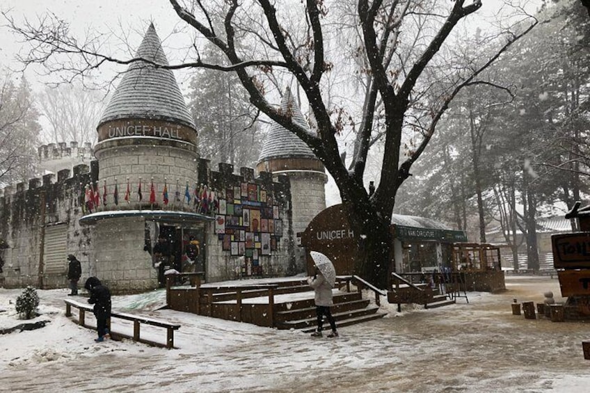 Nami Island in winter